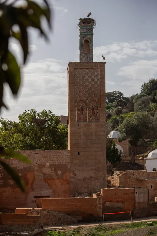Chellah, Rabat — Hosniart