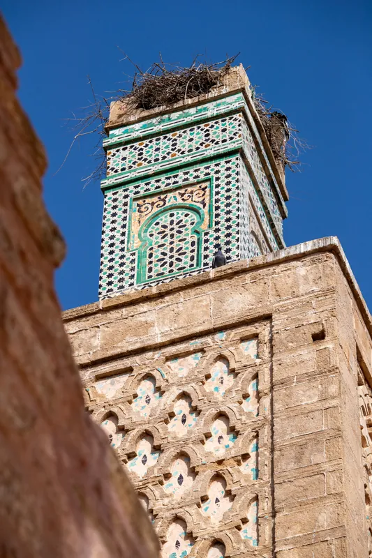Chellah, Rabat — Hosniart