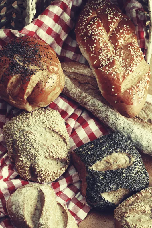 Food & restaurants — Hosniart